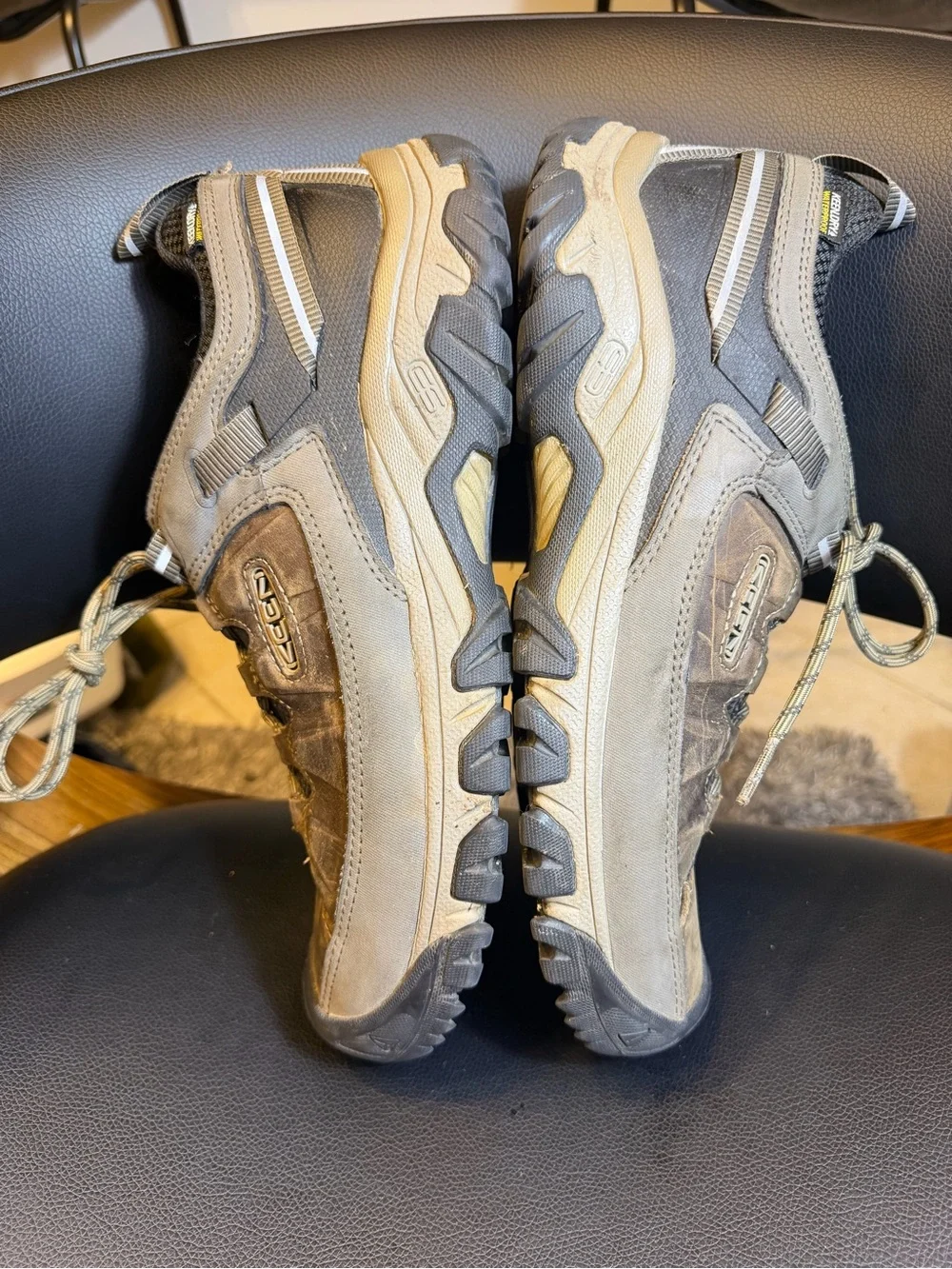 Keen men targhee
